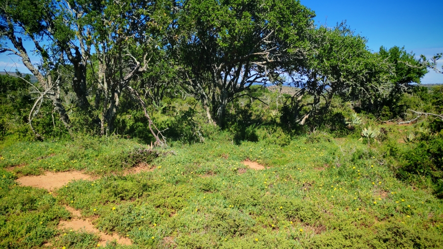 0 Bedroom Property for Sale in Somerset East Rural Eastern Cape